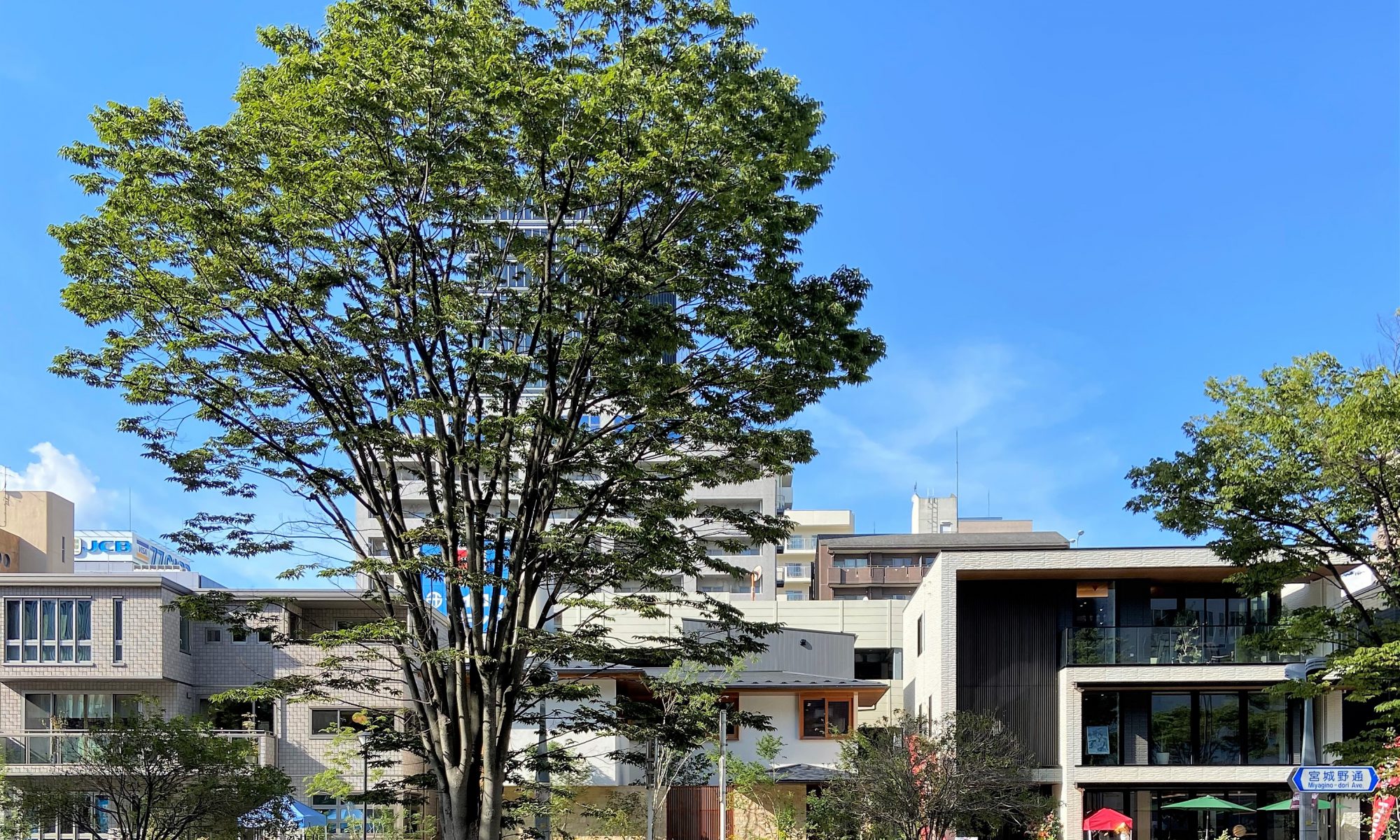 自転車 Yan S Diary